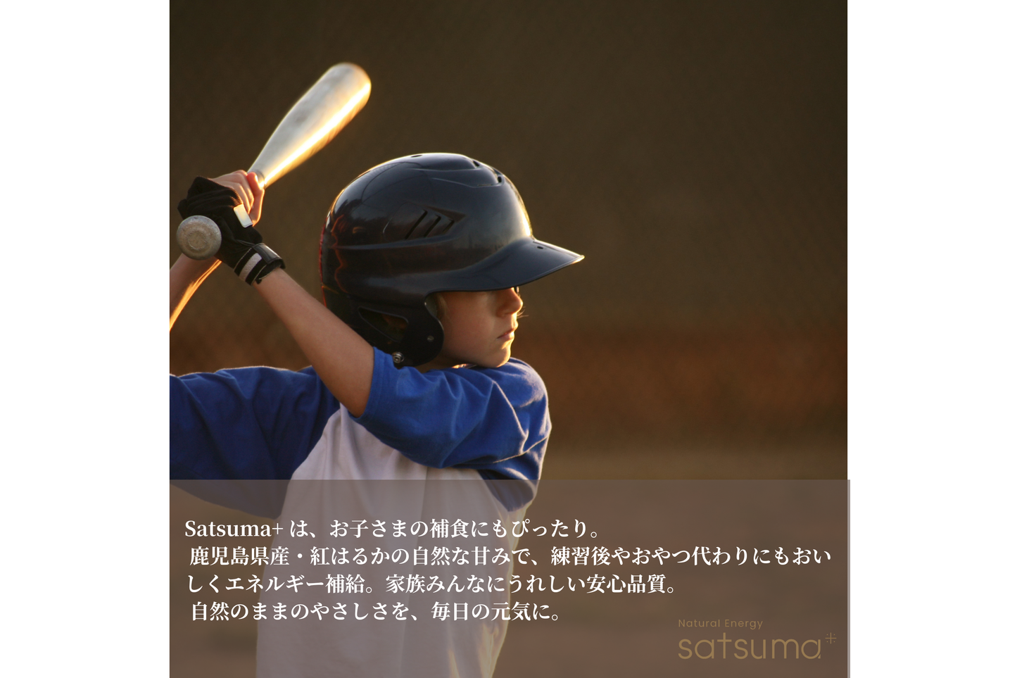 Satsuma+レギュラー5個セット（サツマプラス）